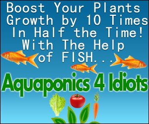 Aquaphonics Gardening
