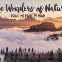 The Wonders of Nature by Inspirational Downloads