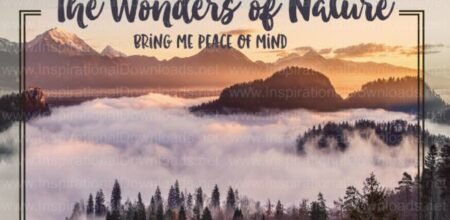 The Wonders of Nature by Inspirational Downloads
